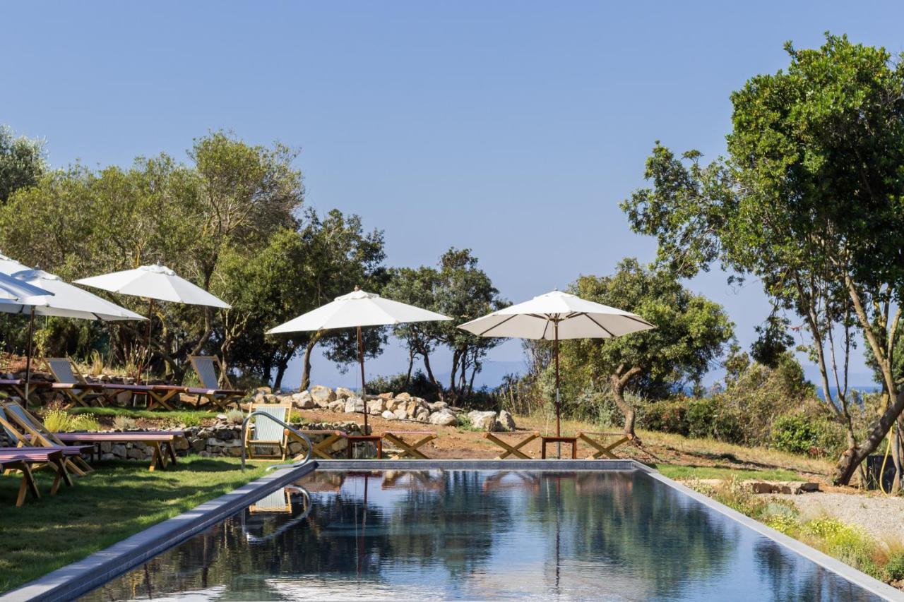 Villa Talamo Фонтебланда Екстериор снимка